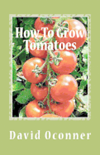 How To Grow Tomatoes: Your Garden Secrets 1