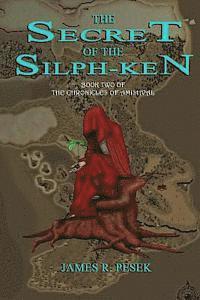 bokomslag The Secret of the Silph-Ken: Book two of the Chronicles of Amishval