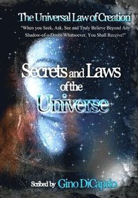 bokomslag Secrets and Laws of the Universe