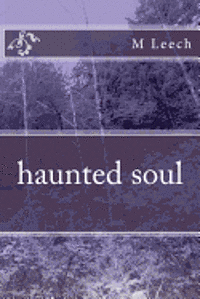 bokomslag haunted soul