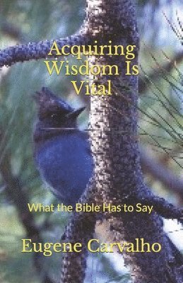 bokomslag Acquiring Wisdom Is Vital: What the Bible Has to Say