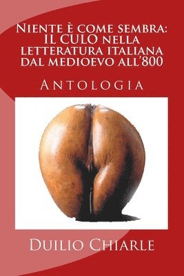 Duilio Chiarle - Niente è come sembra, Häftad