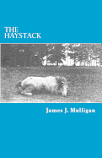 The Haystack 1