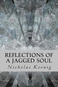 bokomslag Reflections of a Jagged Soul