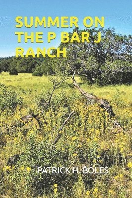 Summer on the P Bar J Ranch 1