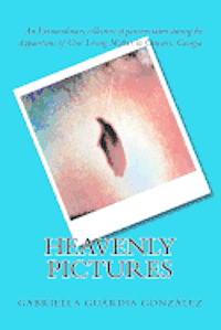 bokomslag Heavenly Pictures