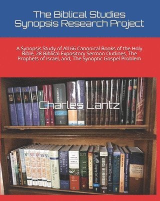 bokomslag Biblical Studies Synopsis Research Project