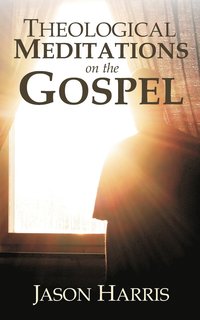 bokomslag Theological Meditations on the Gospel