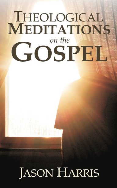 bokomslag Theological Meditations on the Gospel