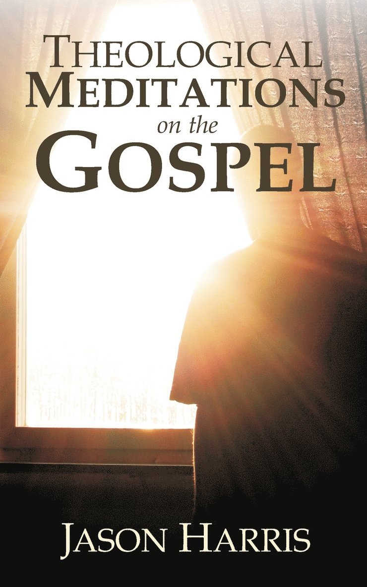 Theological Meditations on the Gospel 1