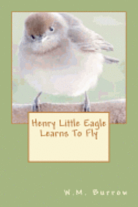 Henry Little Eagle Learns To Fly 1