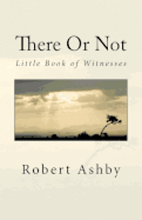 bokomslag There Or Not - Little Book of Witnesses: God Through My Window