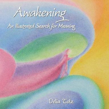 bokomslag Awakening: An Illustrated Search for Meaning