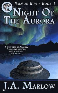 bokomslag Night of the Aurora (Salmon Run - Book 1)