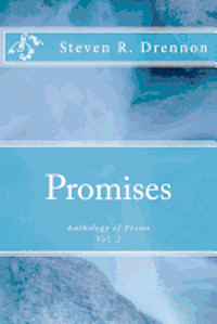 bokomslag Promises