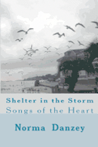 bokomslag Shelter in the Storm: Songs of the Heart