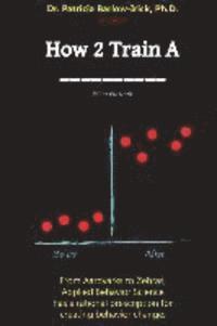 Patricia Barlow-Irick Ph. D. - How 2 Train A _____, Häftad