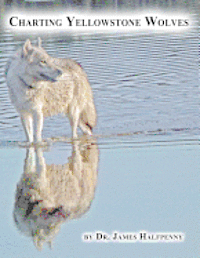 bokomslag Charting Yellowstone Wolves