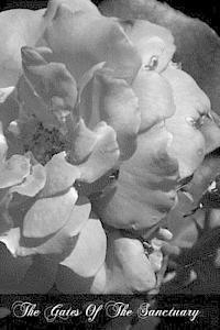 Very Rev Francis Cuthber Doyle O. S. B., Rupert Presinger O. S. B. - The Gates Of The Sanctuary: The Postulant And The Novice, Häftad