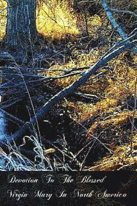 Devotion To The Blessed Virgin Mary In North America