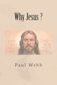bokomslag Why Jesus ?
