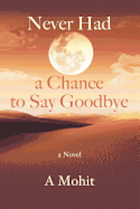 Never Had A Chance To Say Goodbye 1