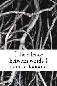 bokomslag The Silence Between Words