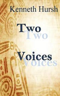 bokomslag Two Voices