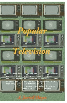 bokomslag Popular Television