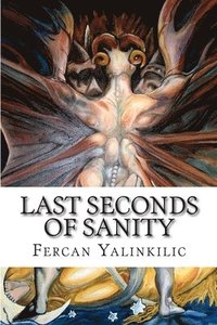 bokomslag Last Seconds of Sanity: Poems of a Manic-Depressive