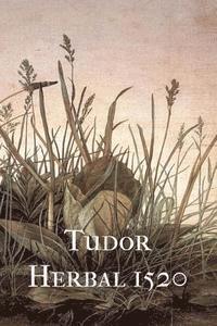 Tudor Herbal 1520 1