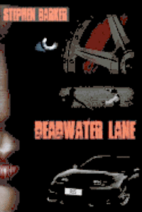 bokomslag Deadwater Lane