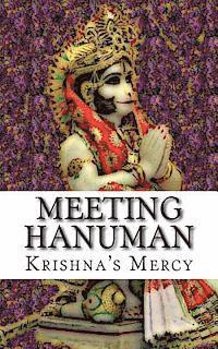bokomslag Meeting Hanuman