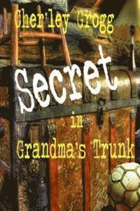 bokomslag The Secret in Grandma's Trunk: Life Along the Ohio River