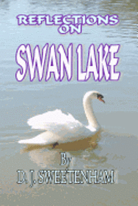 Reflections on Swan Lake 1