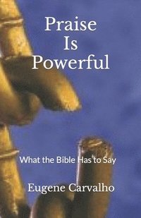 bokomslag Praise Is Powerful: What the Bible Has to Say