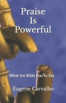 bokomslag Praise Is Powerful: What the Bible Has to Say