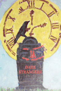 bokomslag Dark Strangers