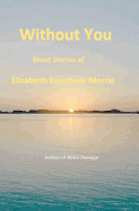 bokomslag Without You: Short Stories of