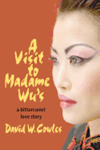 bokomslag A Visit to Madame Wu's