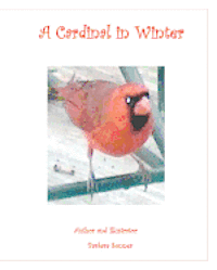 bokomslag A Cardinal in Winter