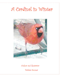 A Cardinal in Winter 1