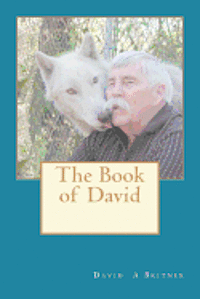 bokomslag The Book of David