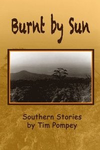 bokomslag Burnt by Sun