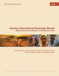 bokomslag Issuing International Sovereign Bonds