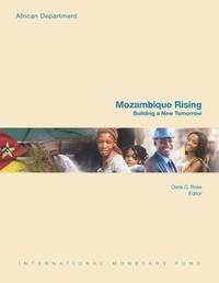 bokomslag Mozambique rising