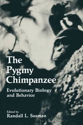 bokomslag Pygmy Chimpanzee