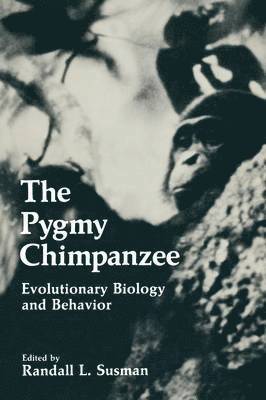 The Pygmy Chimpanzee 1