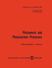 bokomslag Photomesic and Photonuclear Processes