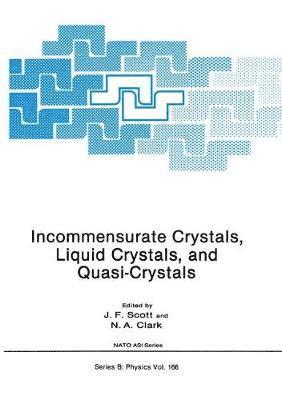 bokomslag Incommensurate Crystals, Liquid Crystals, and Quasi-Crystals